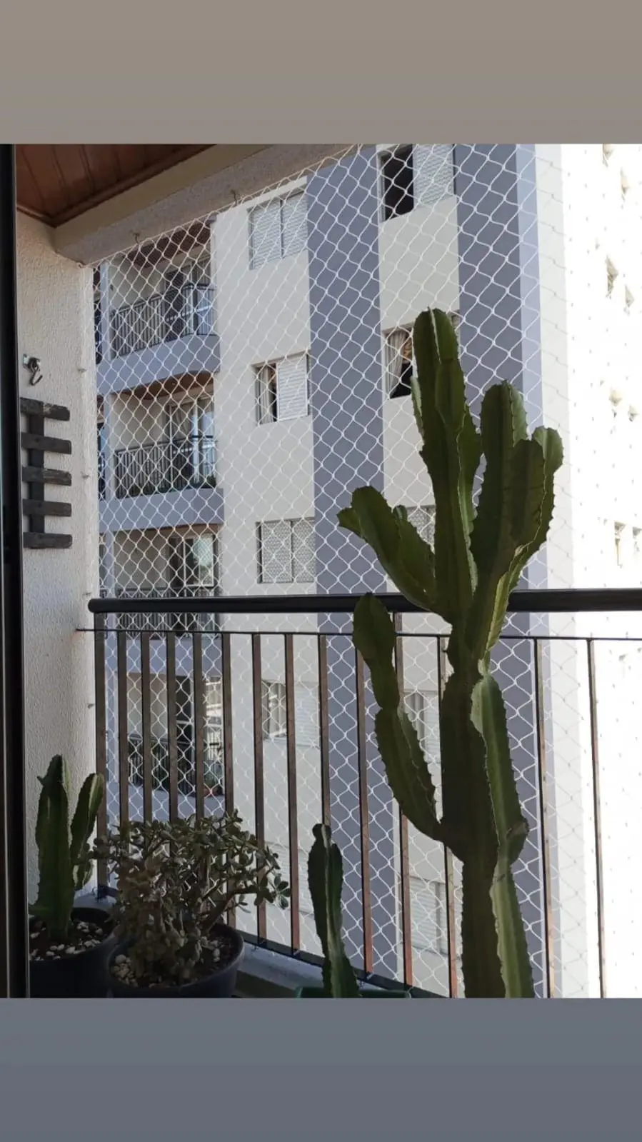 Rede de Proteção profissional